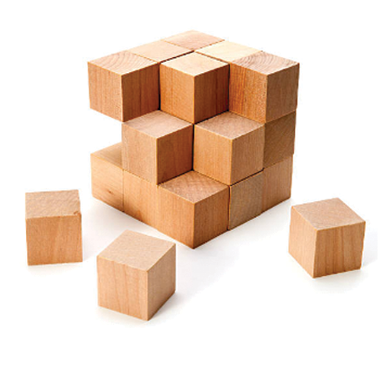 Leadership & Team Development